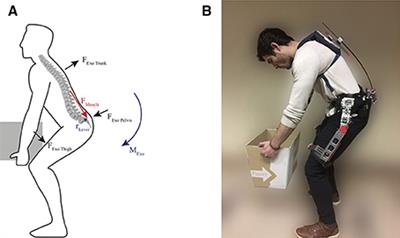 Passive Back Support Exoskeleton Improves Range of Motion Using Flexible Beams